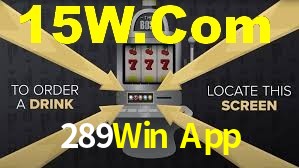 289Win App App Interface