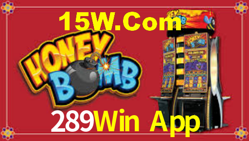 289Win App