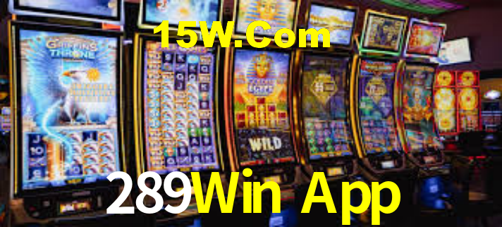 Descubra a Essência do 289Win App: Nossa História e Compromissos
