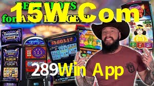 Programa VIP 289Win App