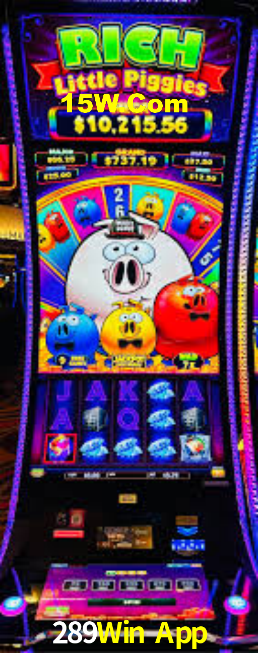 289Win App