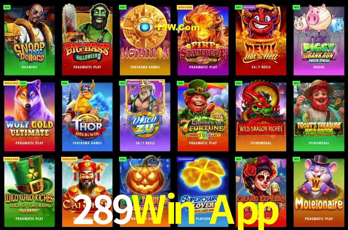 Experiência VIP 289Win App